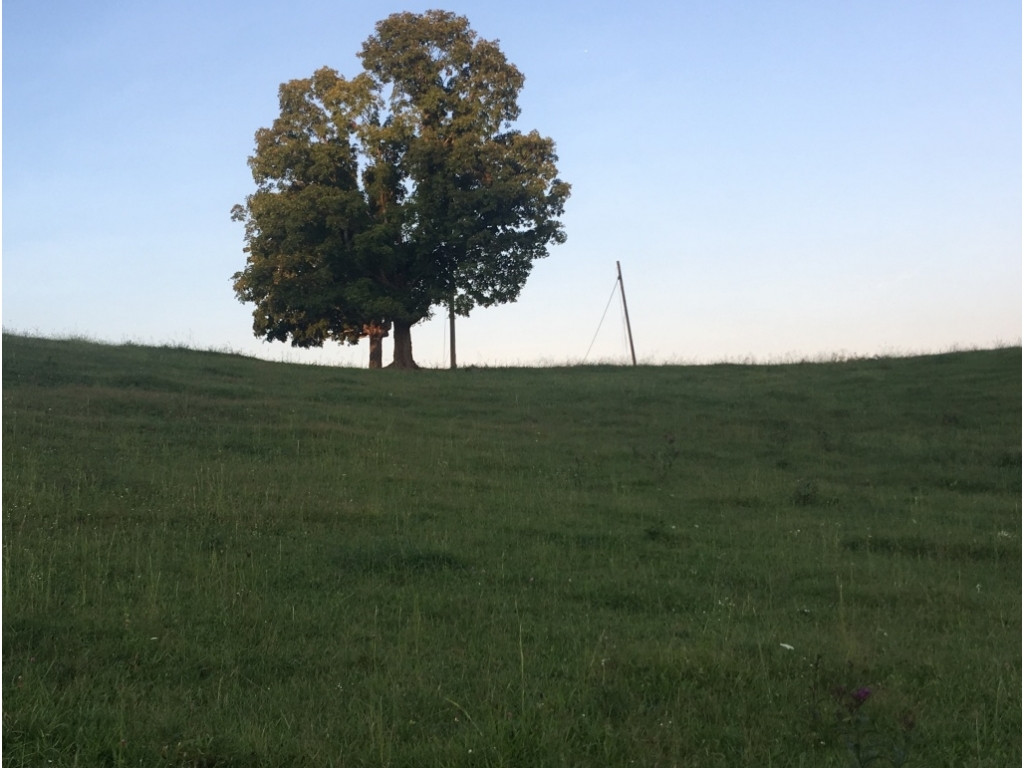 Tbd Tbd Gap Mountain Road Greeneville, TN 37745 - Photo 7 of 10 Photo 7