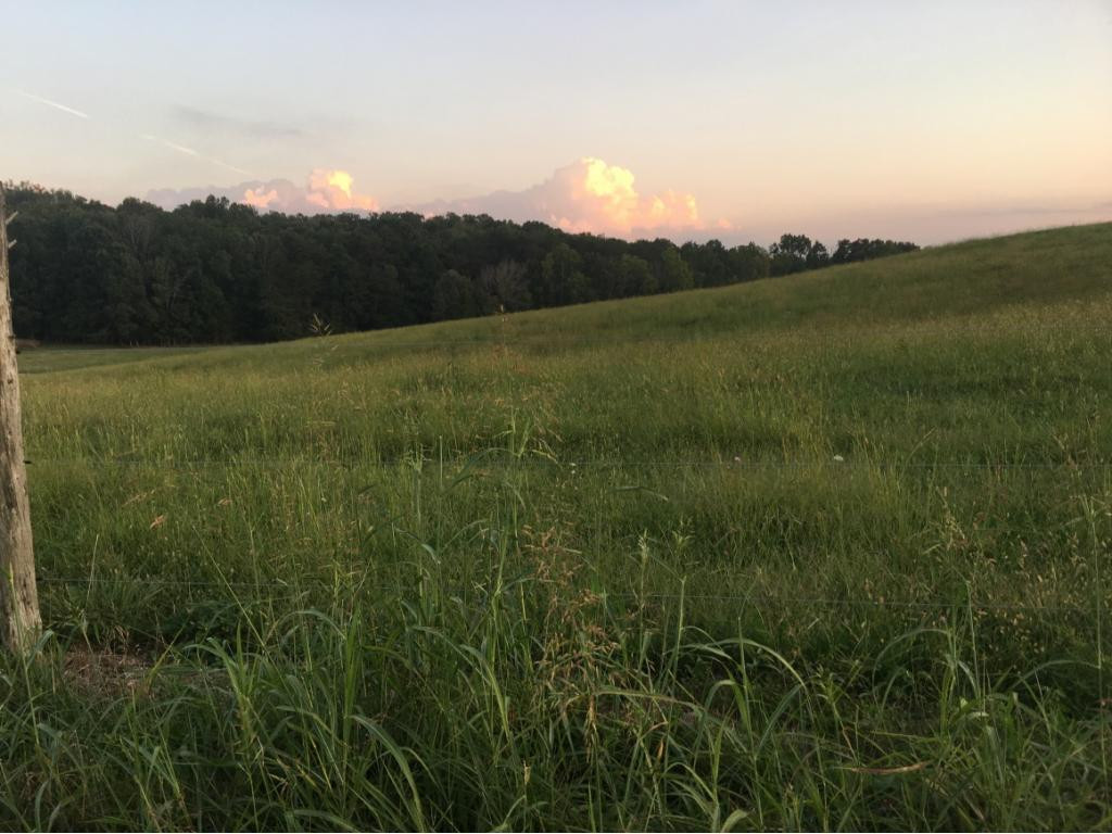 Tbd Tbd Gap Mountain Road Greeneville, TN 37745 - Photo 8 of 10 Photo 8