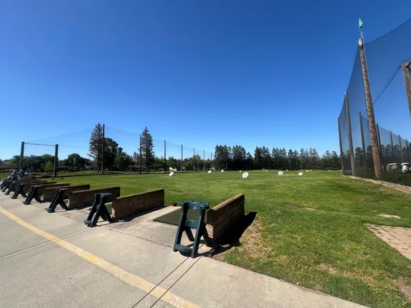 a park view with a bench and trees