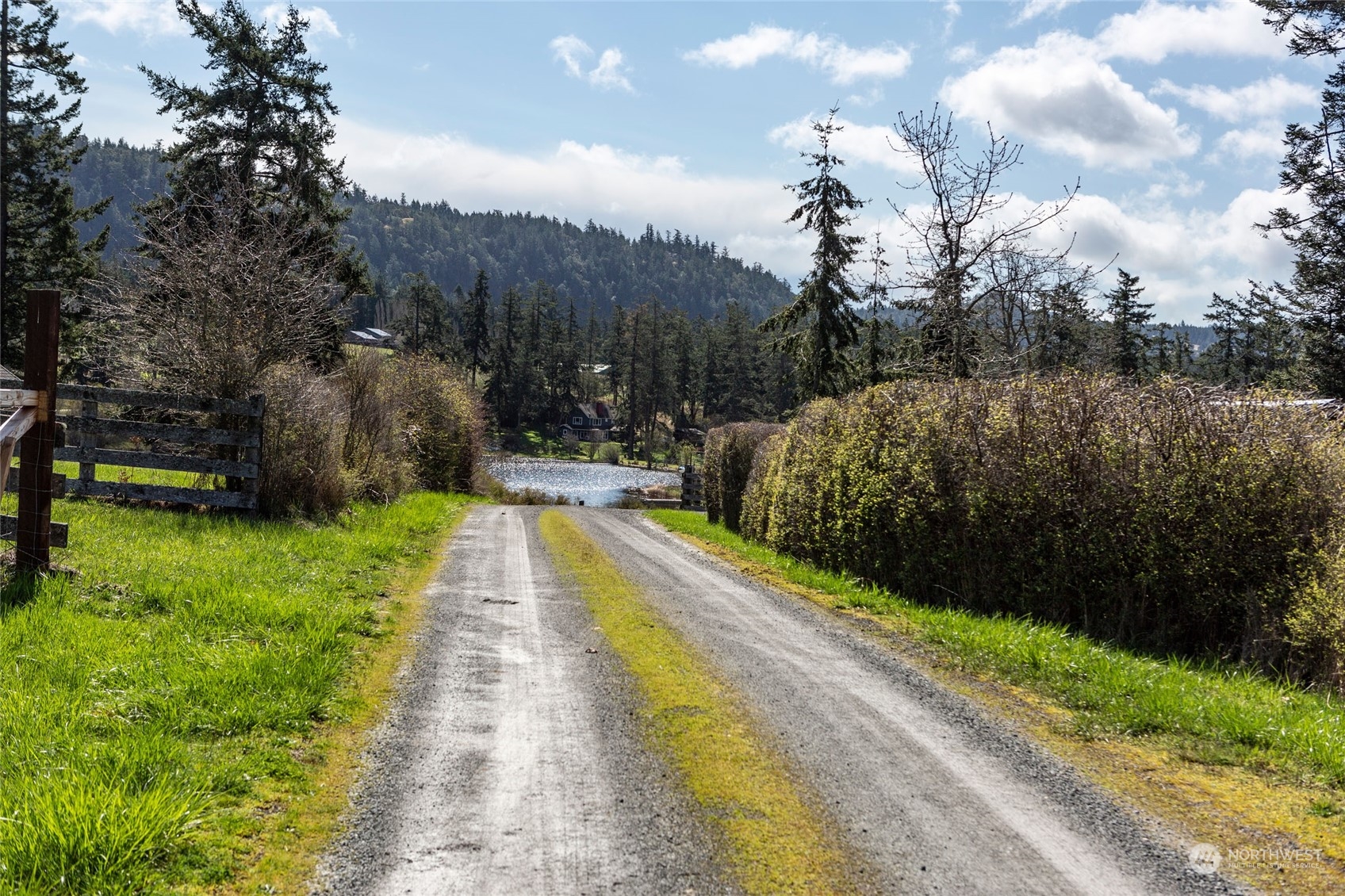 0 Saddle Road Friday Harbor, WA 98250 - Photo 12 of 13 Gallery Image 12
