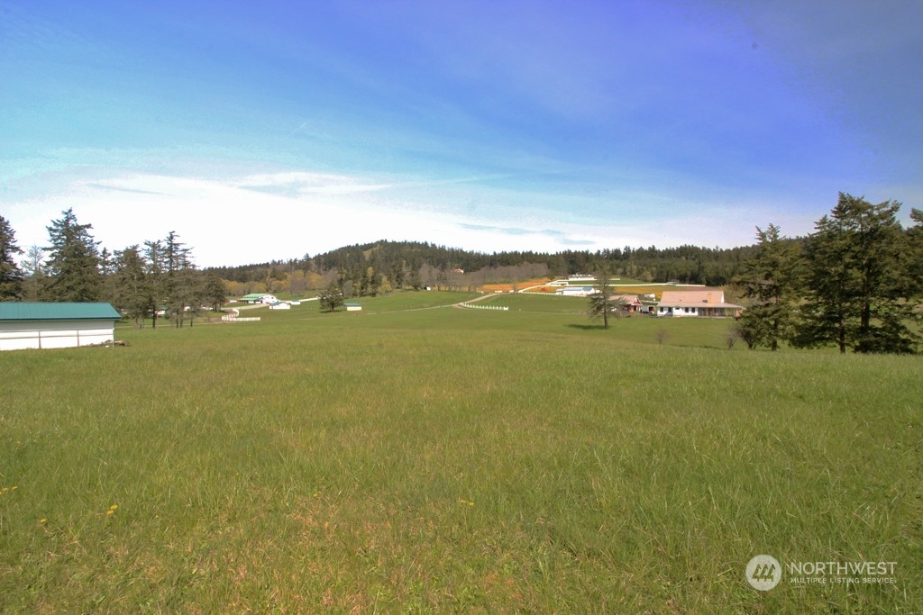 0 Saddle Road Friday Harbor, WA 98250 - Photo 3 of 13 Gallery Image 3
