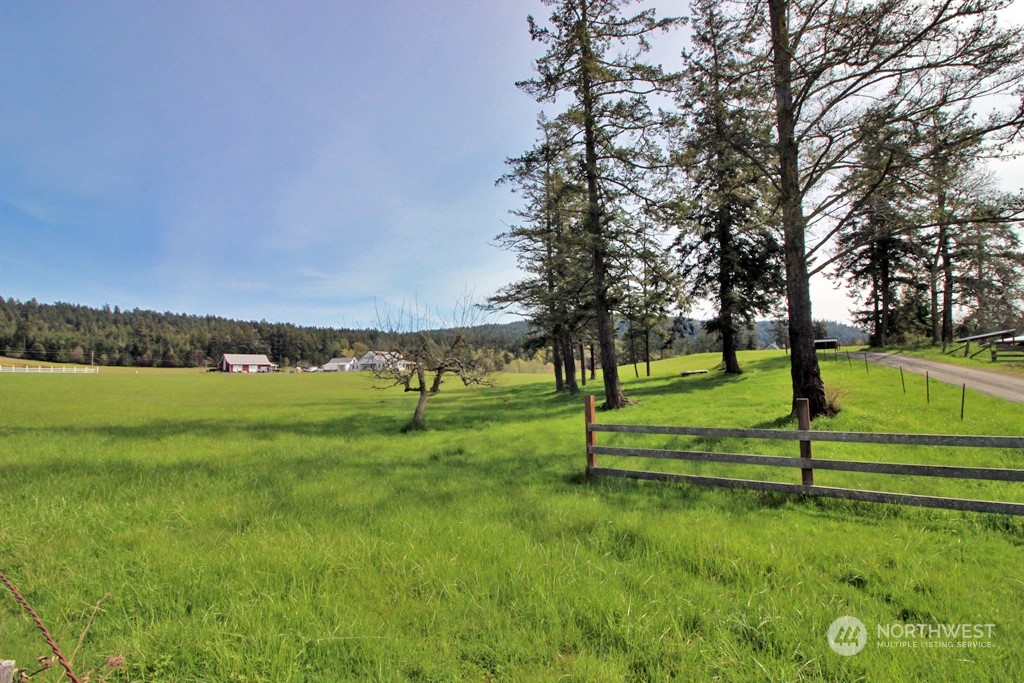 0 Saddle Road Friday Harbor, WA 98250 - Photo 6 of 13 Gallery Image 6
