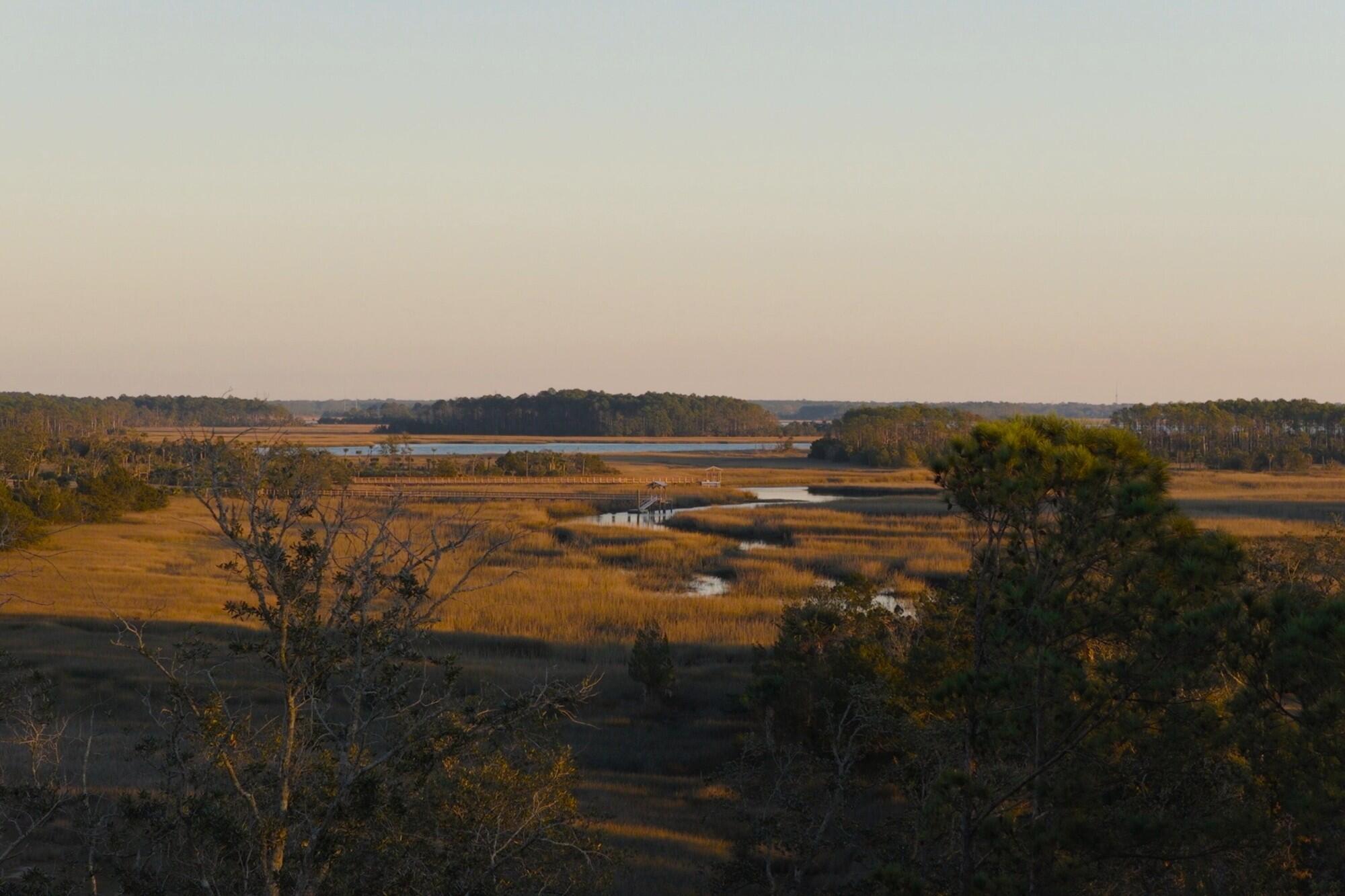 1077 Ship Builder Street Daniel Island, SC 29492 - Photo 19 of 45 photo_020