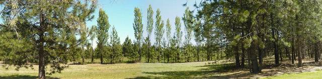 723 West Crestview Road Spokane, WA 99224 - Photo 3 of 8