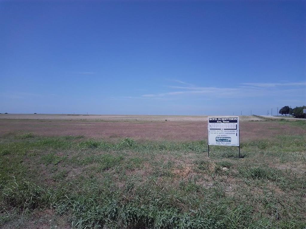 a view of a field with tall trees in front of it