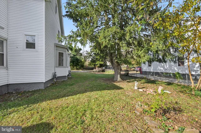 a view of a yard with plants and a large tree