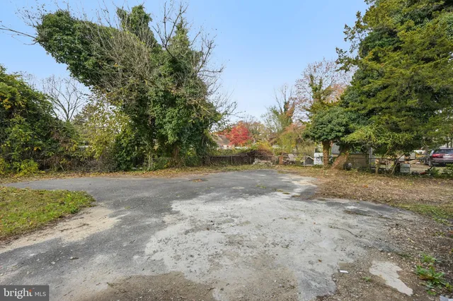 a view of dirt yard with a large tree