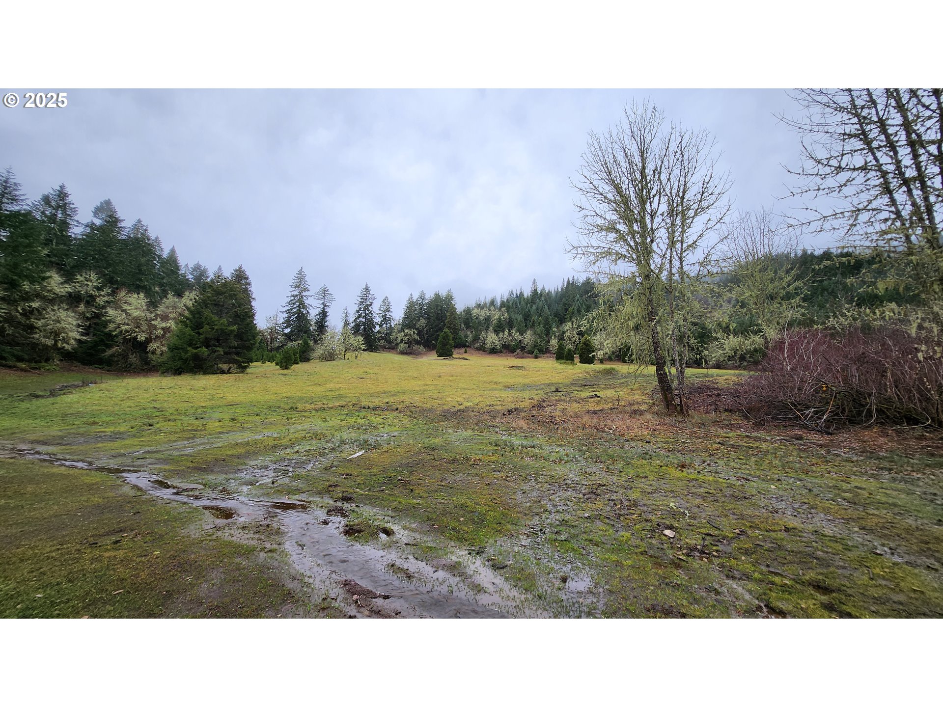 6288 Hayhurst Road Yoncalla, OR 97499 - Photo 13 of 38 Gallery Image 13