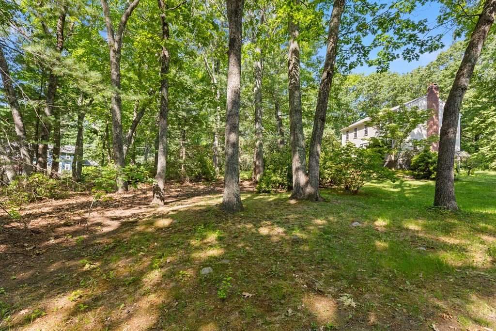 58 Old Coach Road Sudbury, MA 01776 - Photo 5 of 40 a view of a trees with a yard