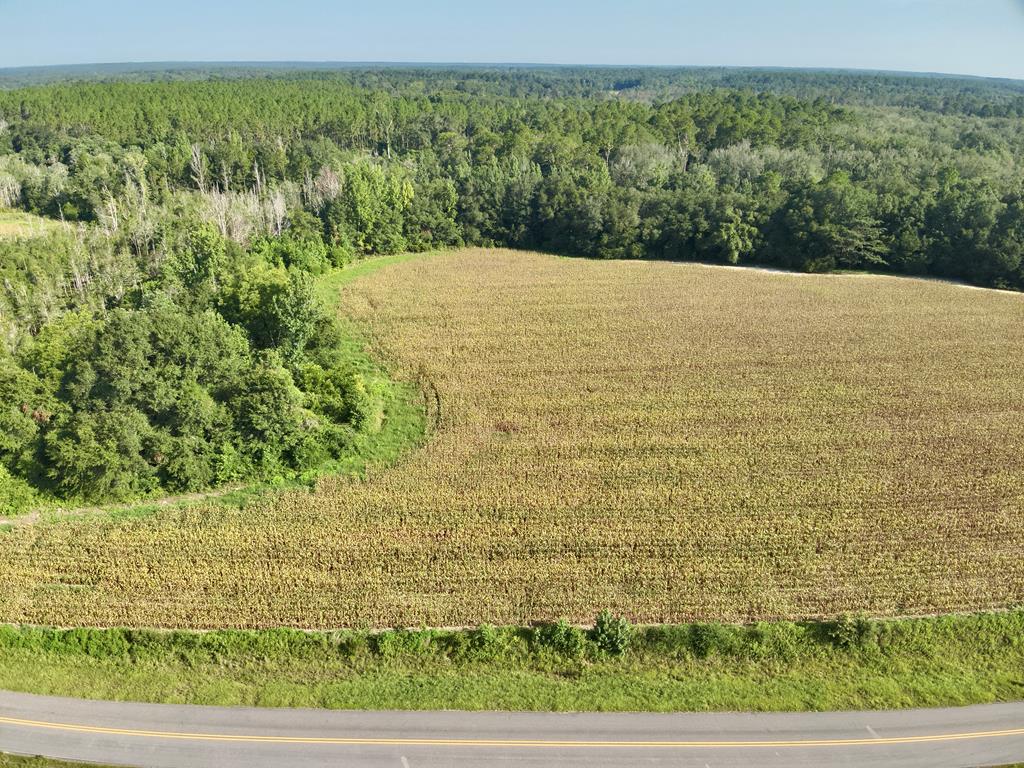 10.3-acres Red Oak Road Florala, AL 36442 - Photo 1 of 13