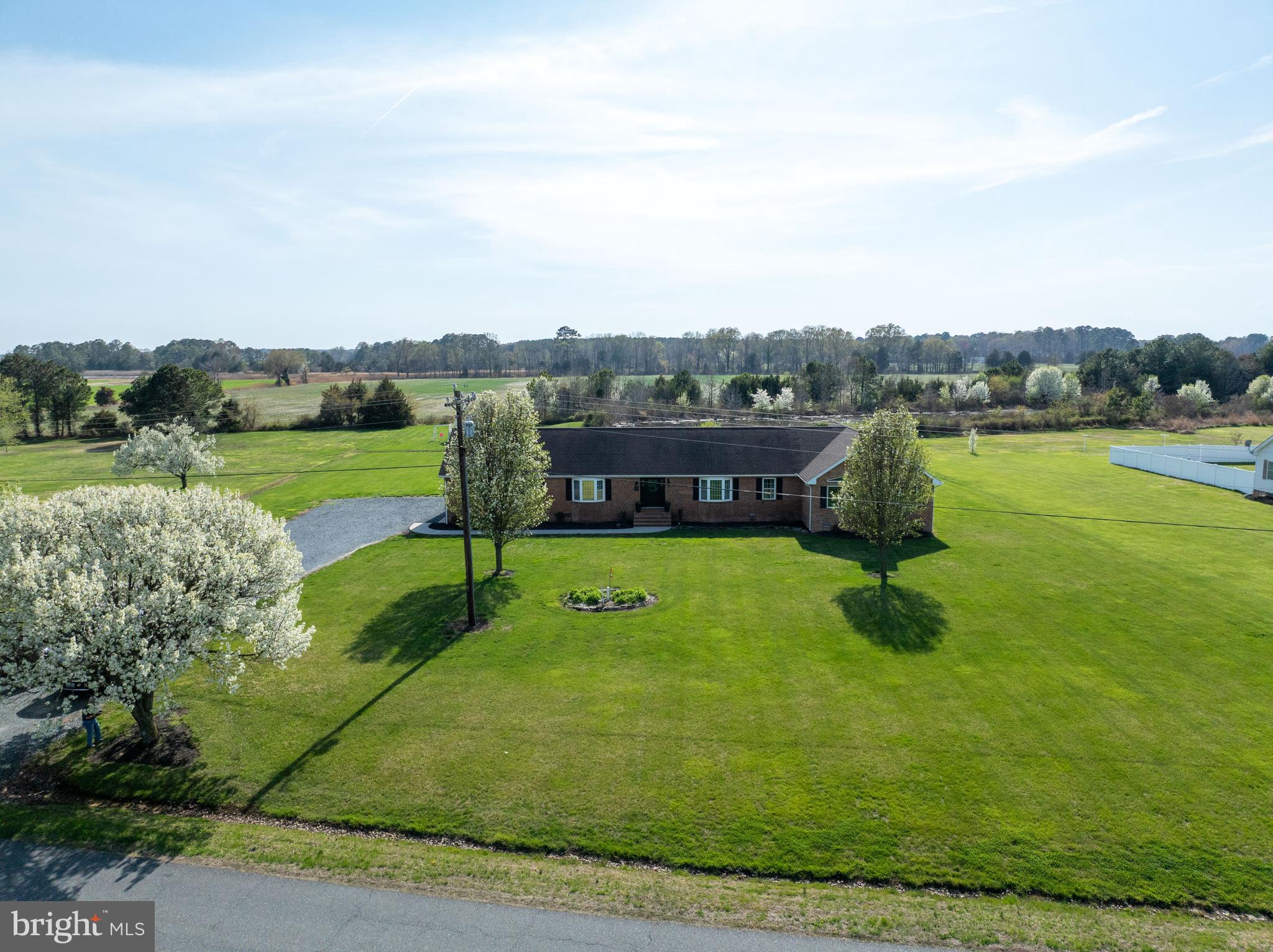 a view of a garden with an ocean