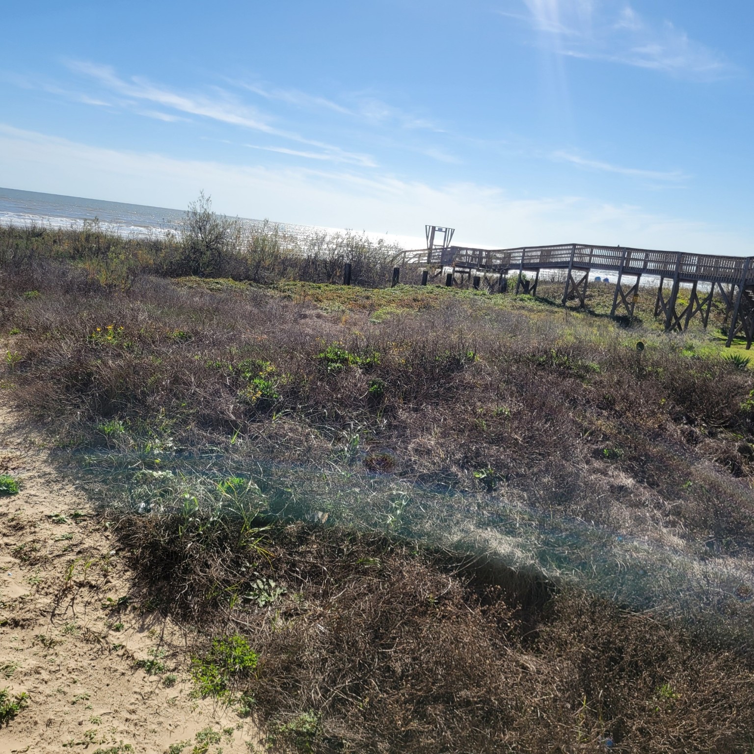 0 Ocean Drive Surfside Beach, TX 77541 - Photo 6 of 7