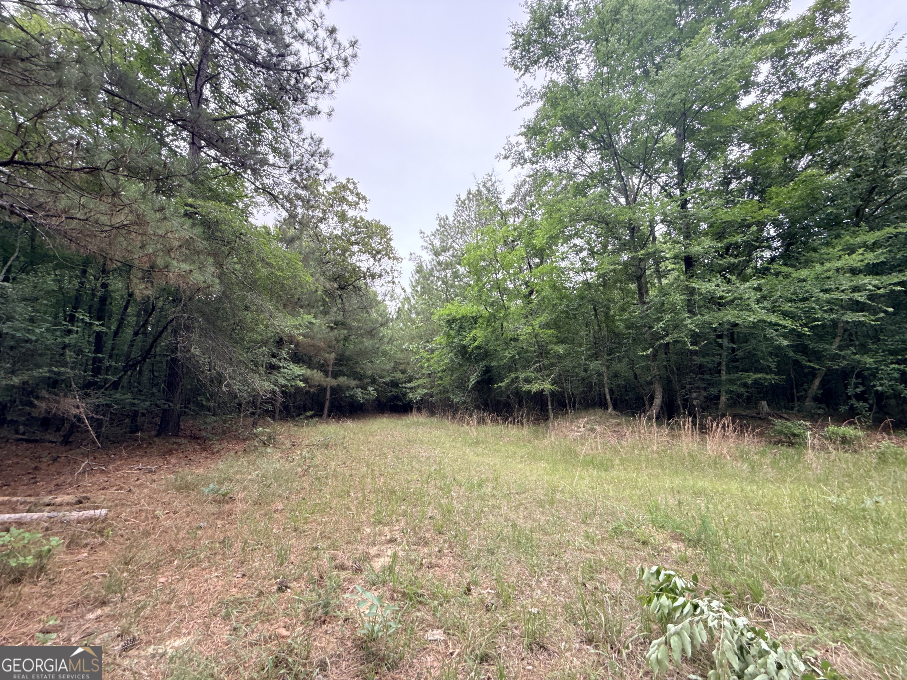 2 Bethesda Church Road Lexington, GA 30648 - Photo 24 of 66