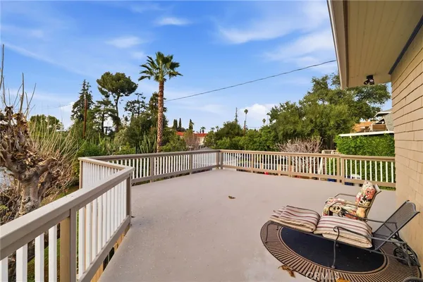 a view of a yard with plants
