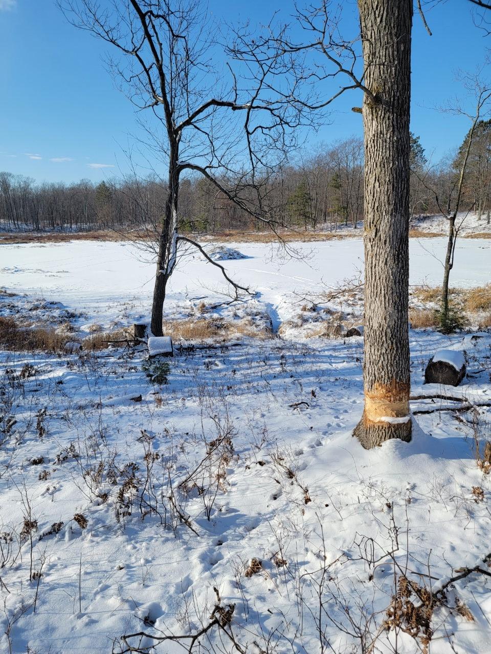 On Rollingwood Road Stone Lake, WI 54876 - Photo 20 of 32 Gallery Image 20
