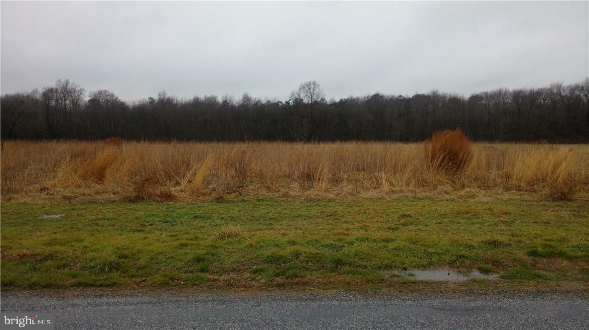Lot 3 Robin Hood Road Delmar, DE 19940 - Photo 1 of 2