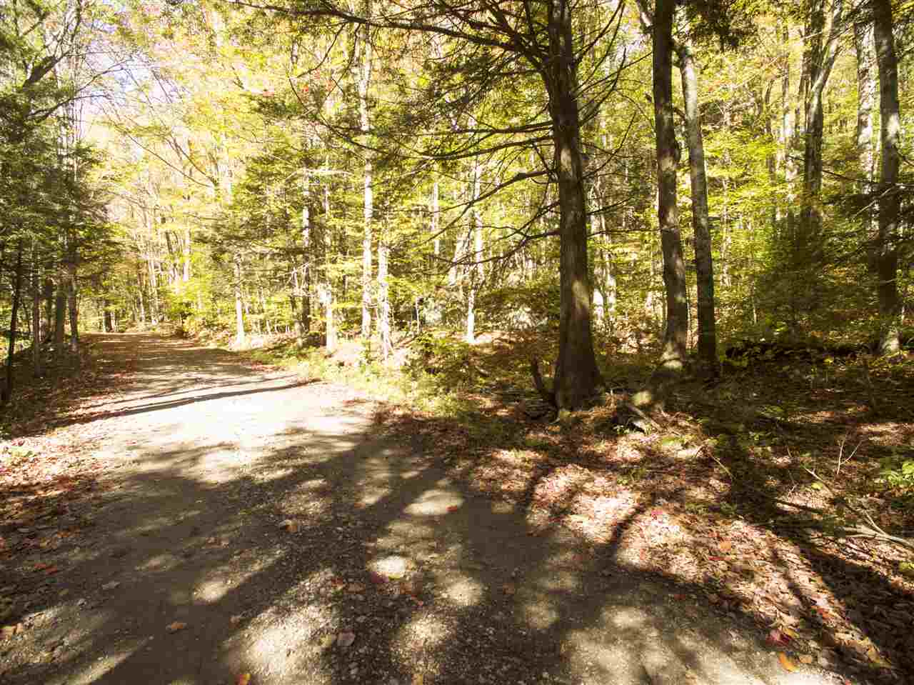 4-5 Forest Haunts Road Winhall, VT 05340 - Photo 2 of 10