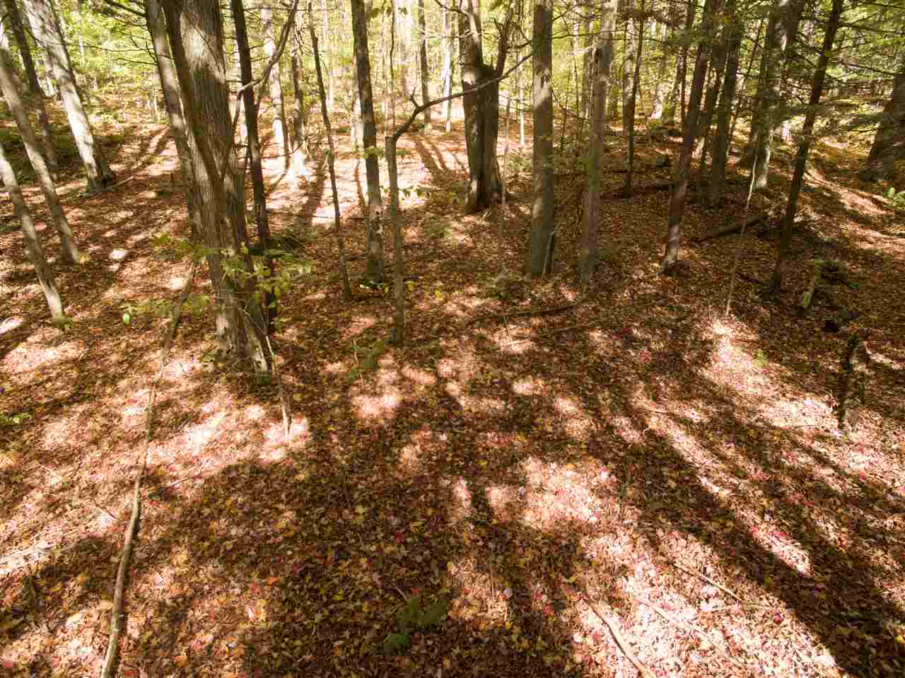 4-5 Forest Haunts Road Winhall, VT 05340 - Photo 5 of 10