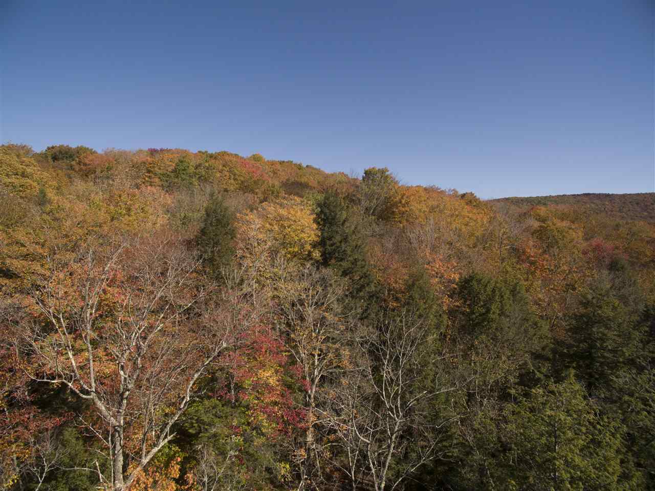 4-5 Forest Haunts Road Winhall, VT 05340 - Photo 6 of 10