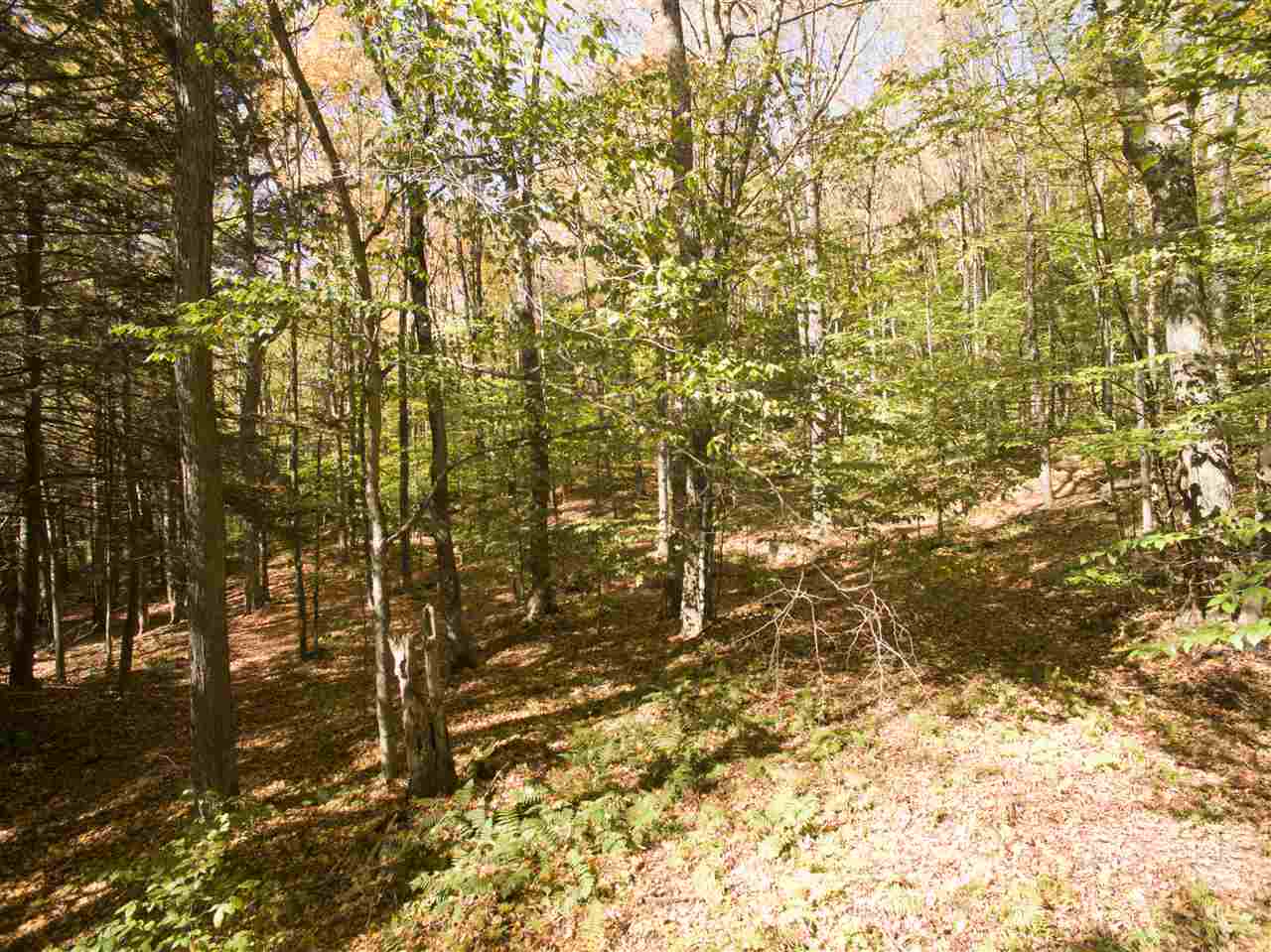 4-5 Forest Haunts Road Winhall, VT 05340 - Photo 7 of 10