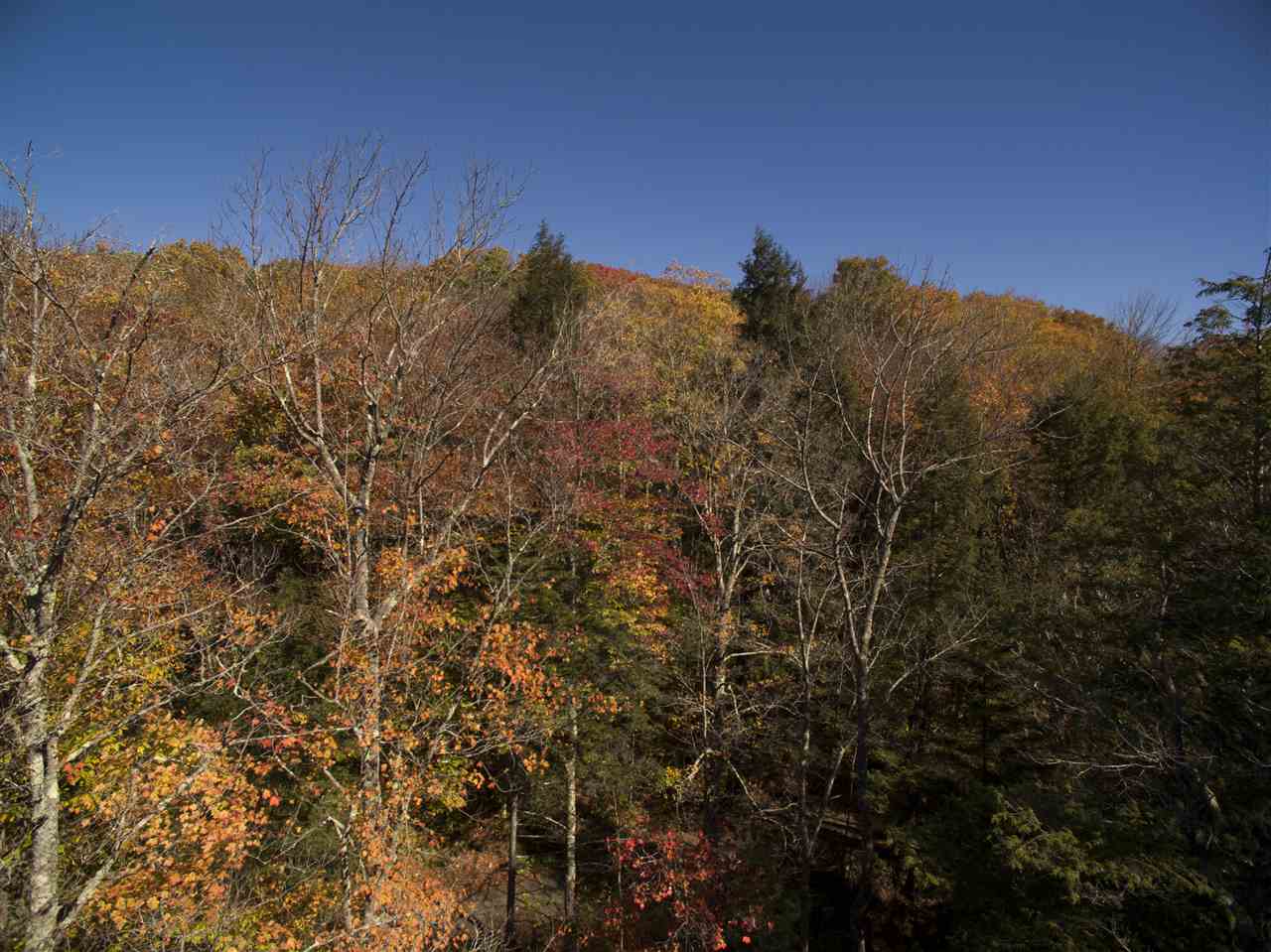 4-5 Forest Haunts Road Winhall, VT 05340 - Photo 9 of 10