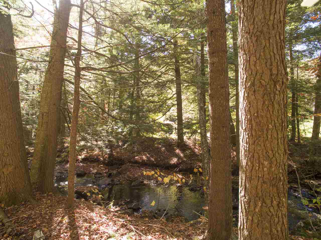 4-5 Forest Haunts Road Winhall, VT 05340 - Photo 10 of 10
