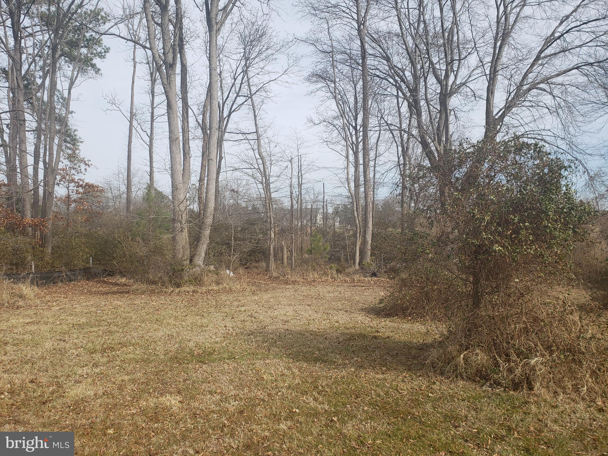 623 Dominion Road Chester, MD 21619 - Photo 3 of 8 Gallery Image 3