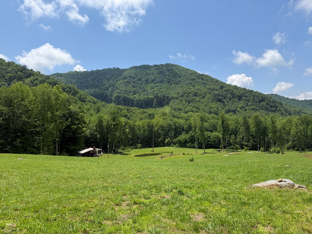 1446 Muskrat Creek Road Hayesville, NC 28904 - Photo 16 of 108