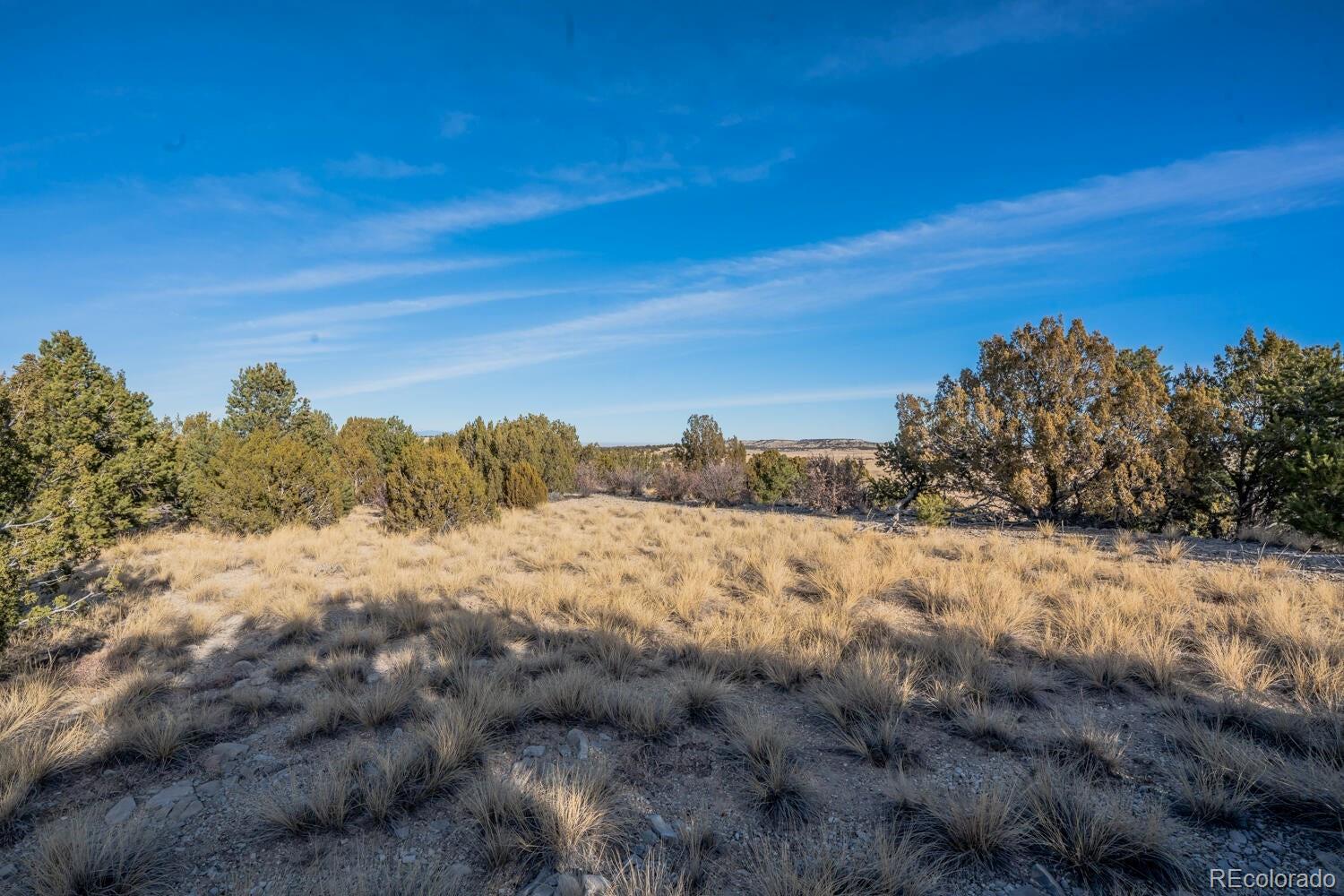 24 Hatchet Ranch Pueblo, CO 81004 - Photo 7 of 33 a view of a dry yard