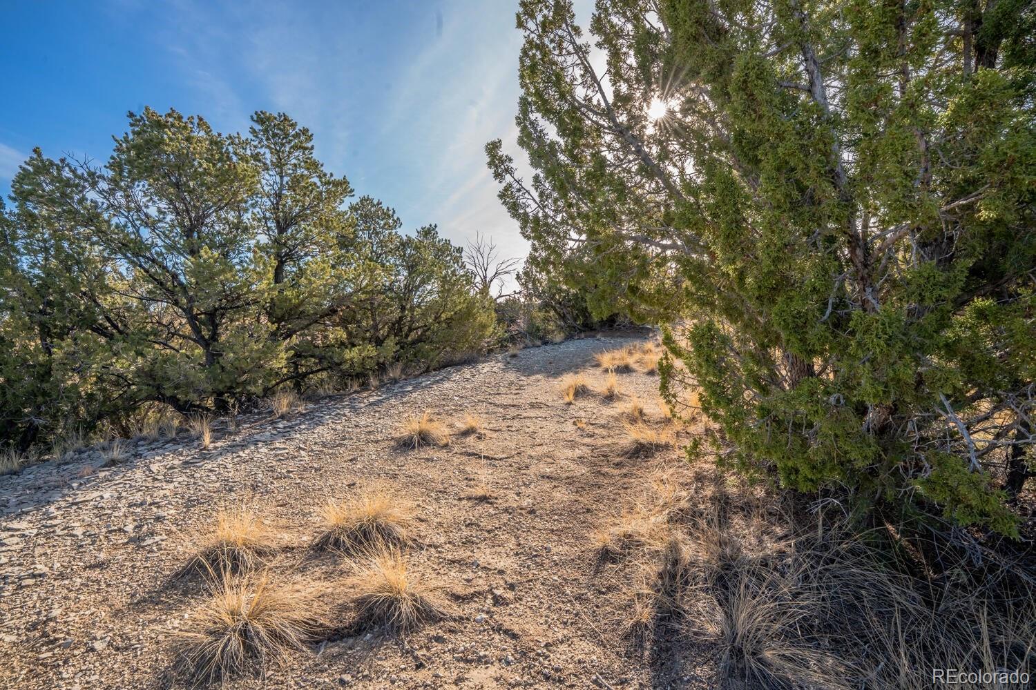 24 Hatchet Ranch Pueblo, CO 81004 - Photo 9 of 33 a view of empty yard