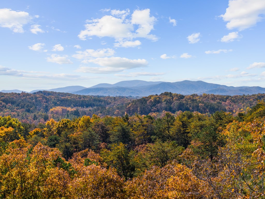 653 The Woods Road Mineral Bluff, GA 30559 - Photo 3 of 56
