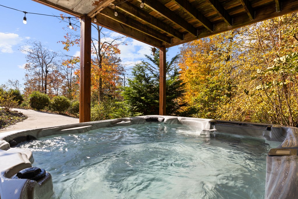 653 The Woods Road Mineral Bluff, GA 30559 - Photo 4 of 56 a view of outdoor space with seating area