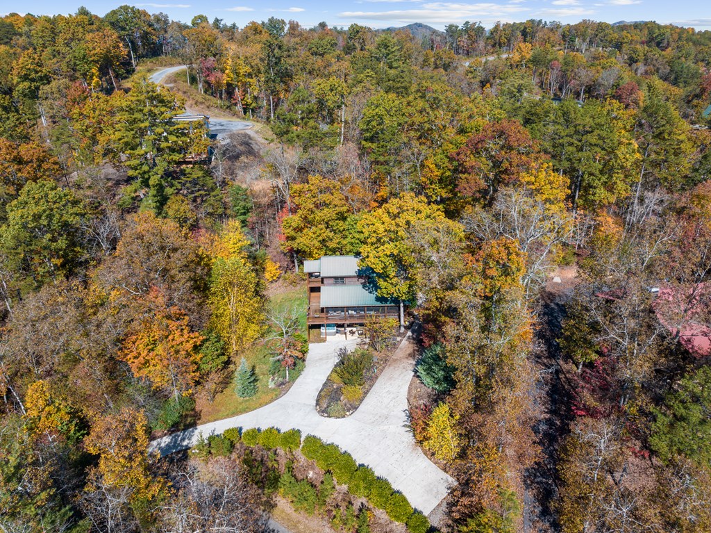 653 The Woods Road Mineral Bluff, GA 30559 - Photo 46 of 56 an aerial view of residential house with outdoor space