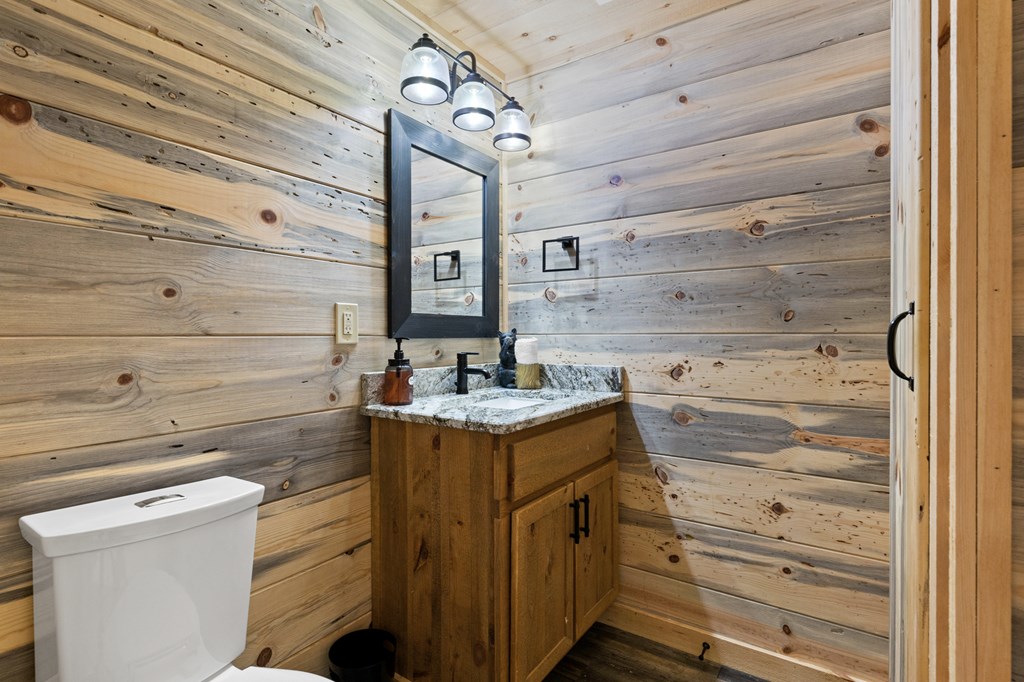653 The Woods Road Mineral Bluff, GA 30559 - Photo 51 of 56 a view of a storage and utility room