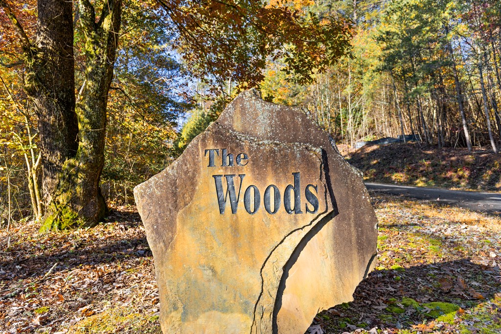 653 The Woods Road Mineral Bluff, GA 30559 - Photo 6 of 56