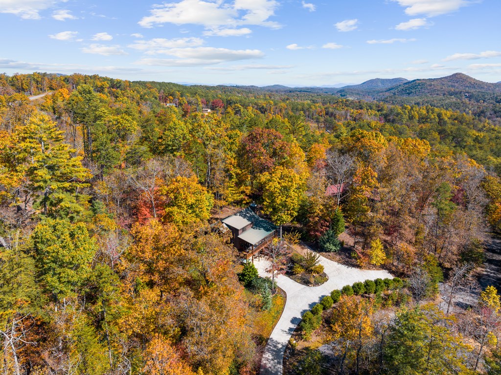 653 The Woods Road Mineral Bluff, GA 30559 - Photo 7 of 56 a view of lake and mountain