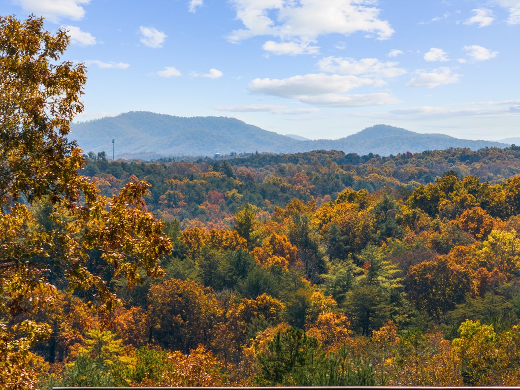 653 The Woods Road Mineral Bluff, GA 30559 - Photo 9 of 56