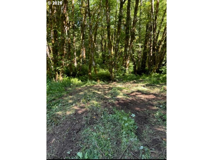 82467 Crowder Road Seaside, OR 97138 - Photo 12 of 21 Gallery Image 12