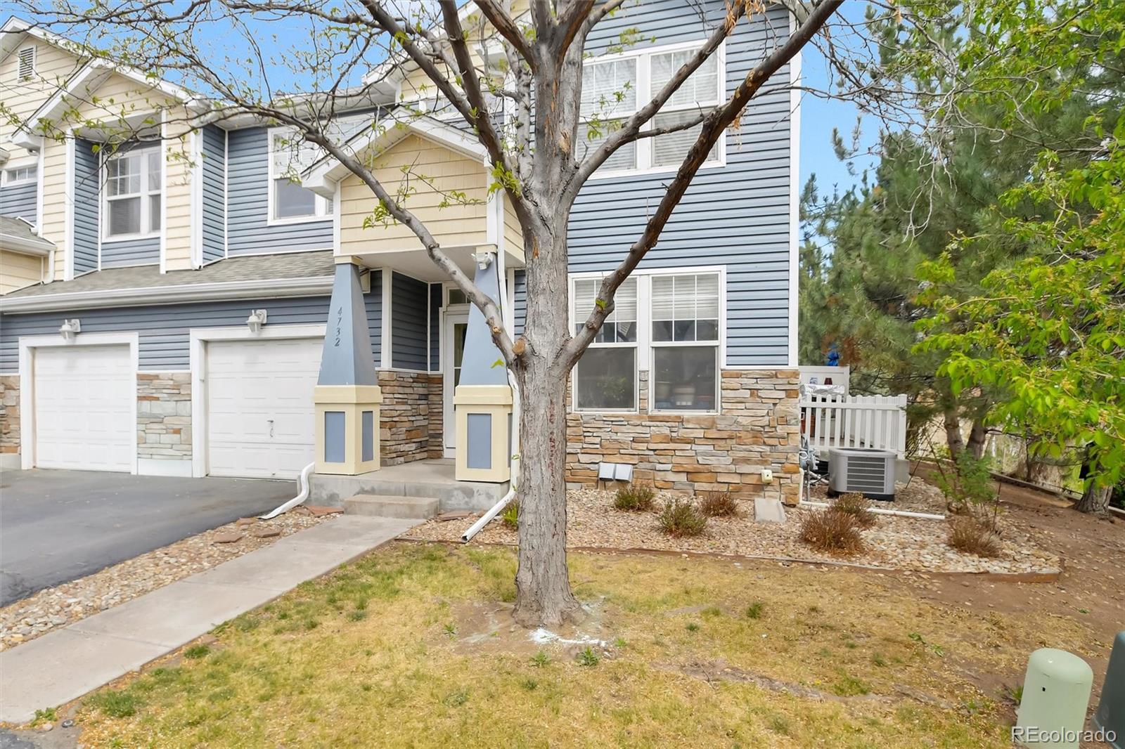 4732 Flower Street Wheat Ridge, CO 80033 - Photo 4 of 25