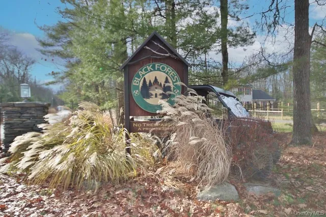 a view of a tree with a yard