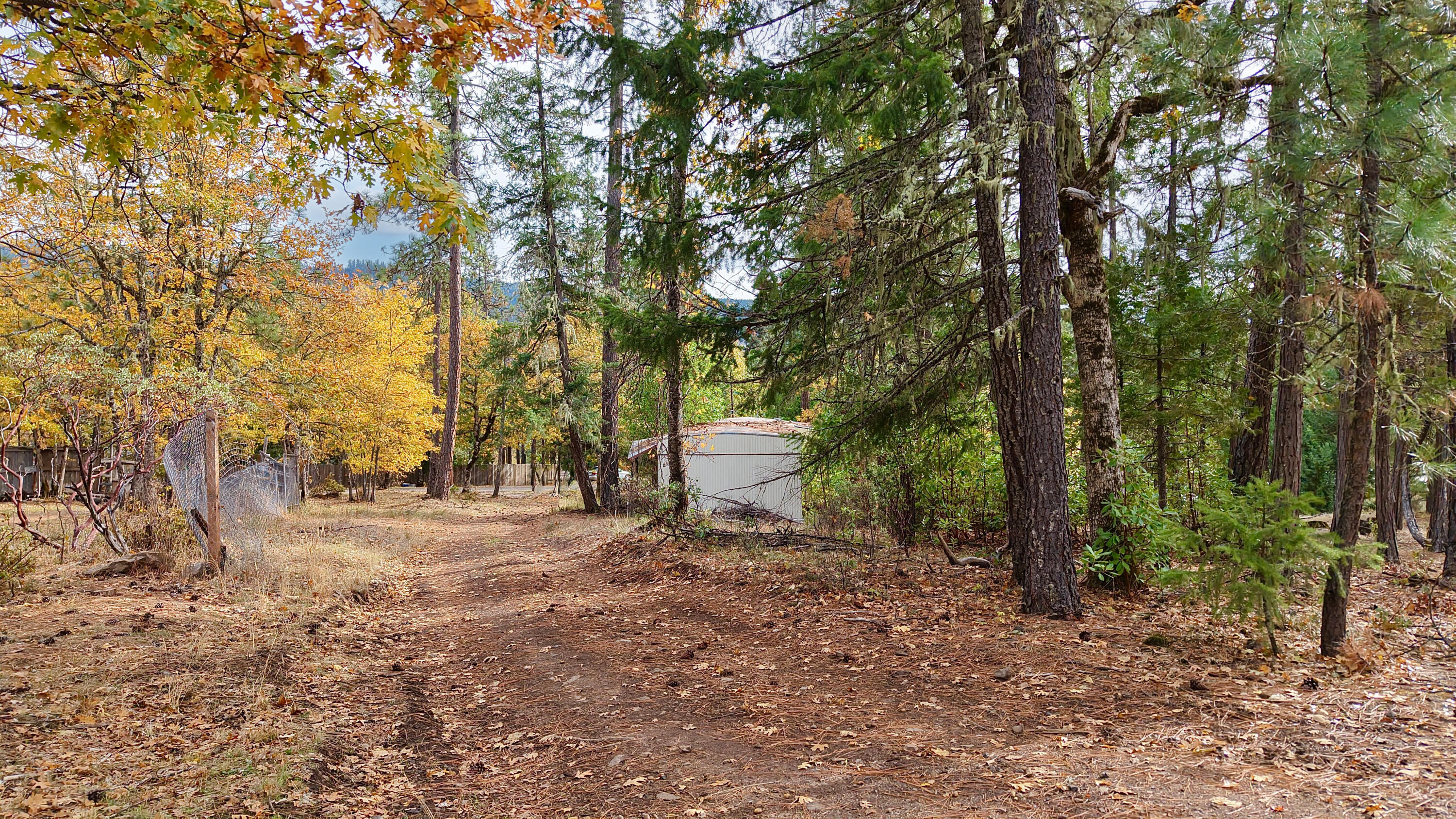 121 Horse Ranch Road Prospect, OR 97536 - Photo 19 of 21 Property