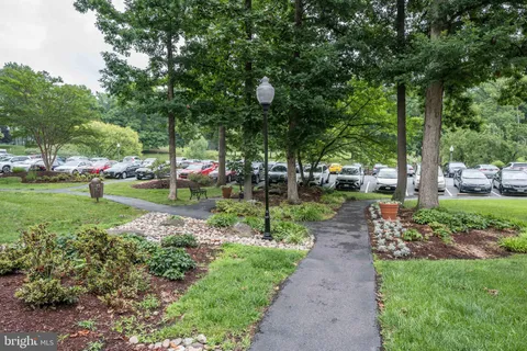 a view of a park with large trees