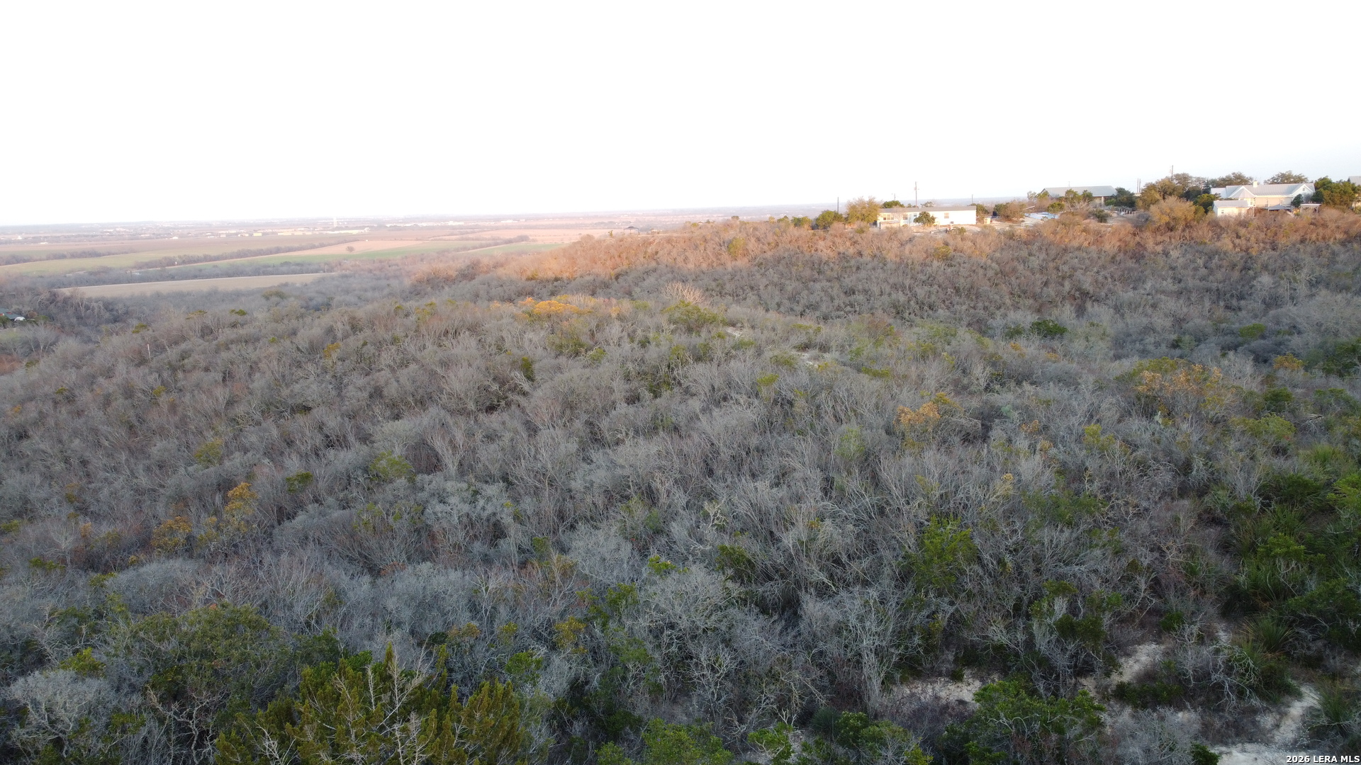 Tbd County Road 573 Castroville, TX 78009 - Photo 11 of 20 a view of a dry yard