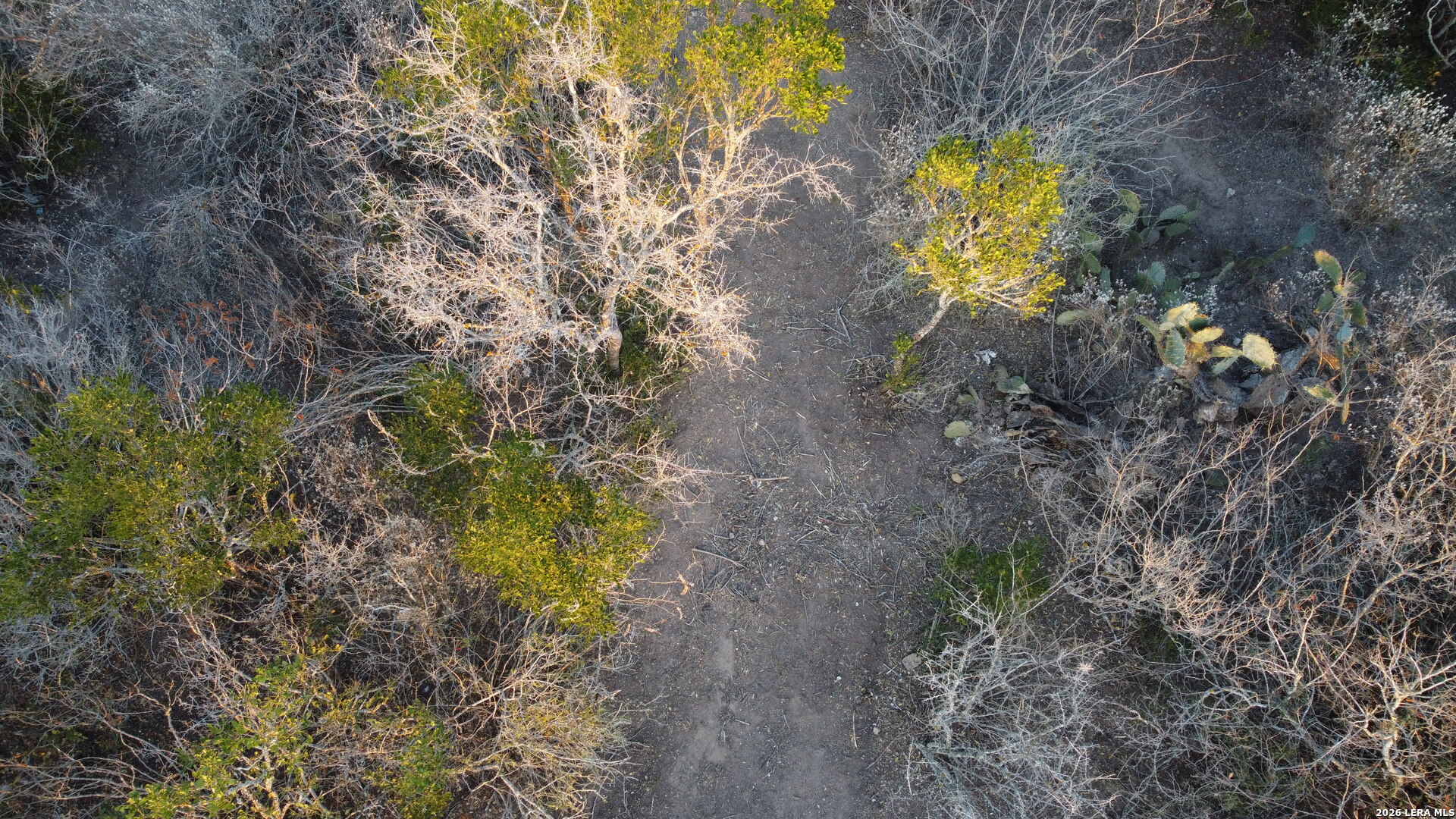 Tbd County Road 573 Castroville, TX 78009 - Photo 13 of 20
