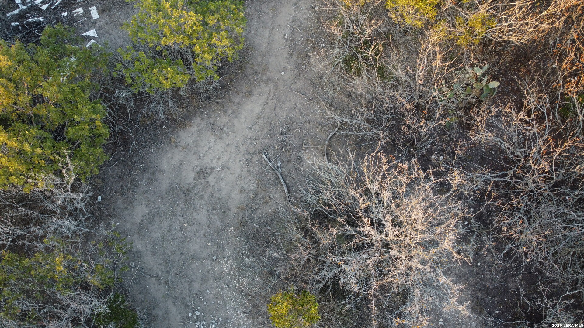 Tbd County Road 573 Castroville, TX 78009 - Photo 16 of 20 a view of a forest with trees in the background