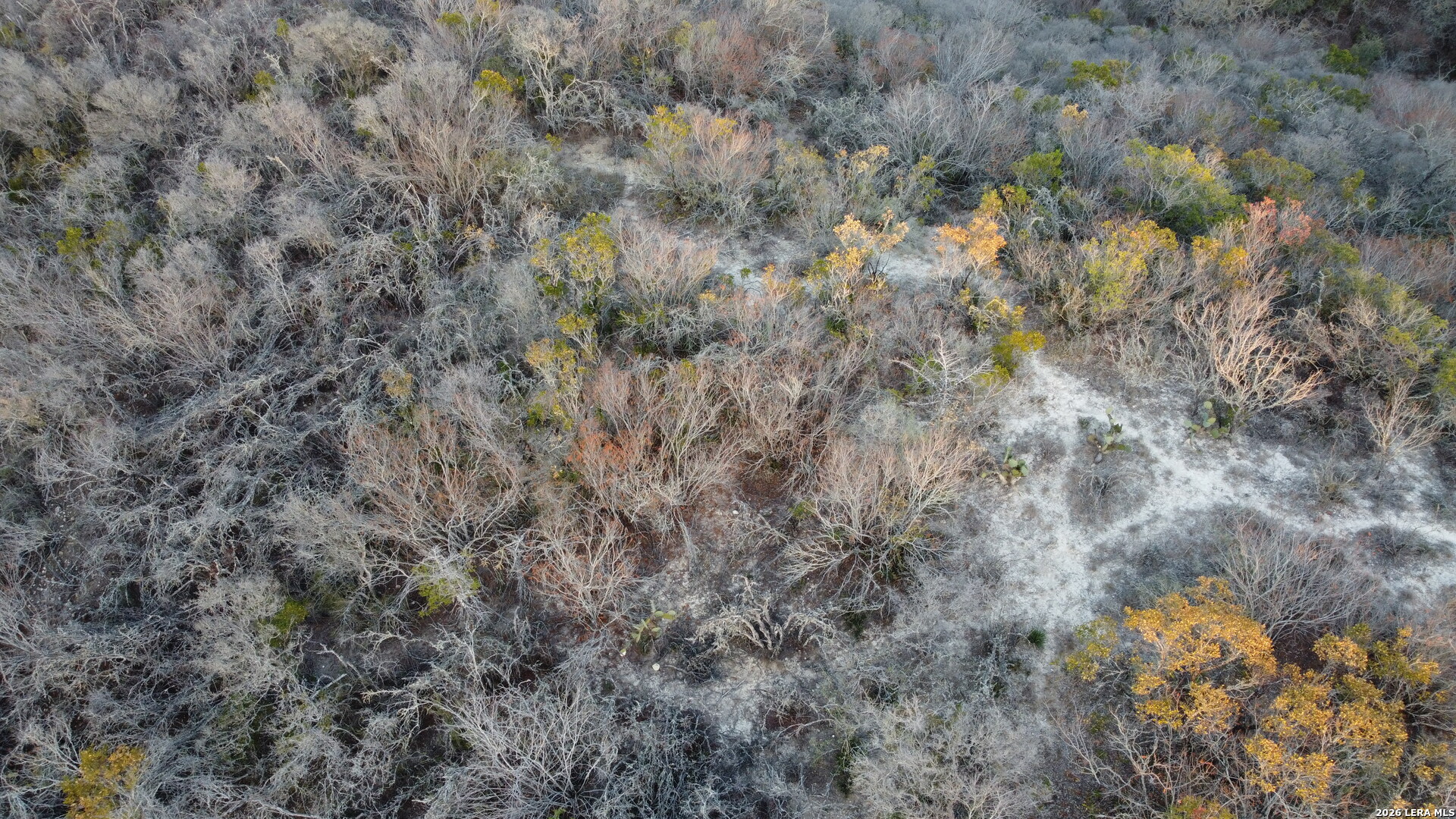 Tbd County Road 573 Castroville, TX 78009 - Photo 18 of 20 a view of a dry field with trees in the background