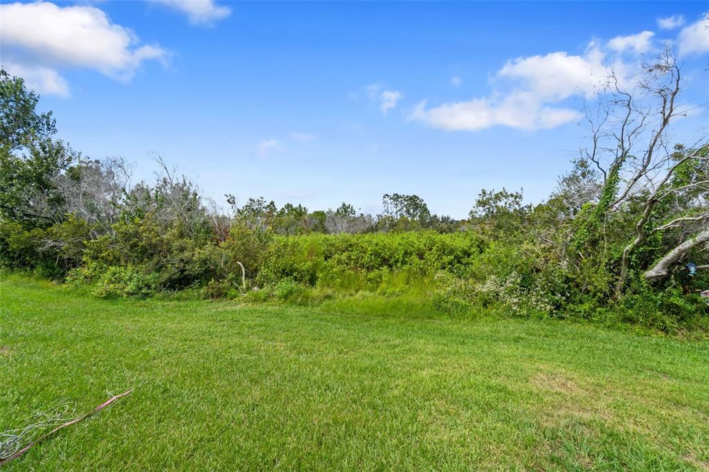 4329 Ashton Meadows Way Wesley Chapel, FL 33543 - Photo 59 of 82