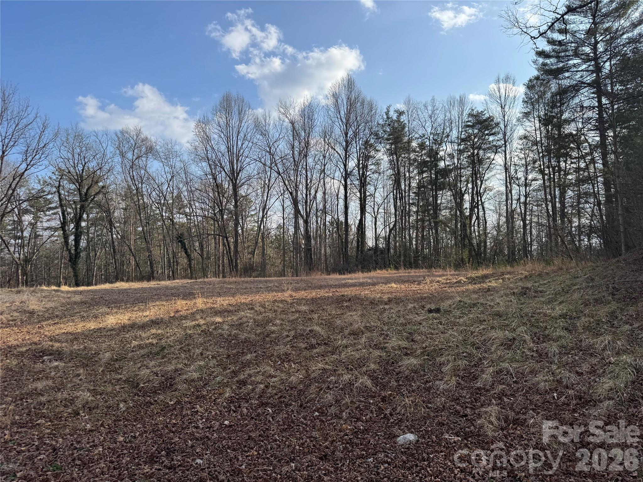 481 Fisher Road Brevard, NC 28712 - Photo 1 of 16 a view of a yard with a tree