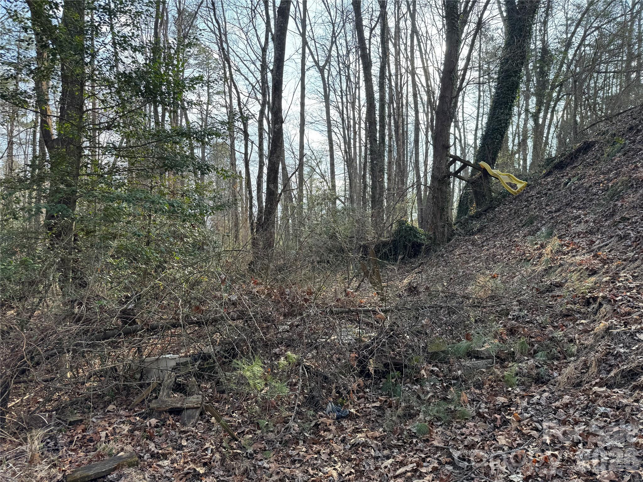 481 Fisher Road Brevard, NC 28712 - Photo 12 of 16 a view of a yard