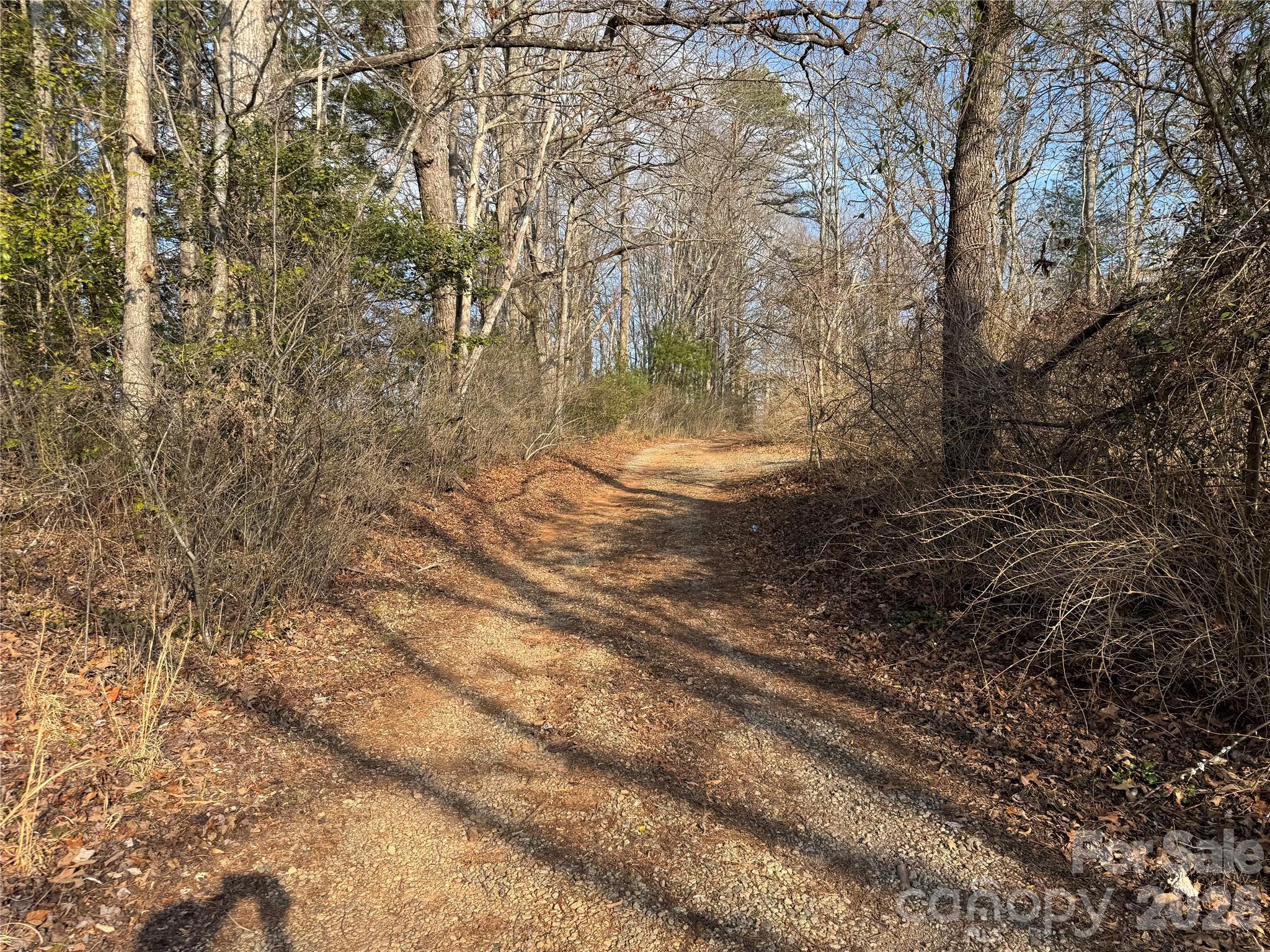 481 Fisher Road Brevard, NC 28712 - Photo 14 of 16 a view of backyard of a house
